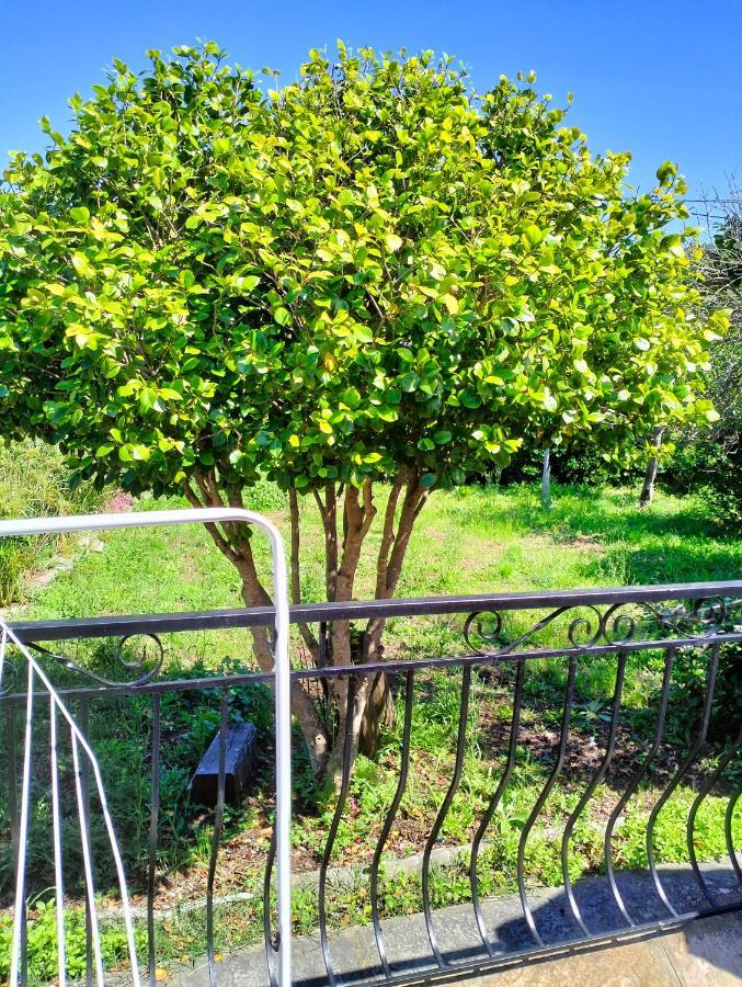 Maison Individuelle Padulella Sisco Εξωτερικό φωτογραφία